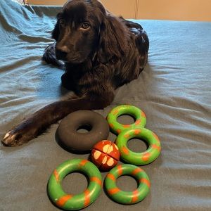COPY - GoughNuts Rubber Dog Toys- Bundle of 5